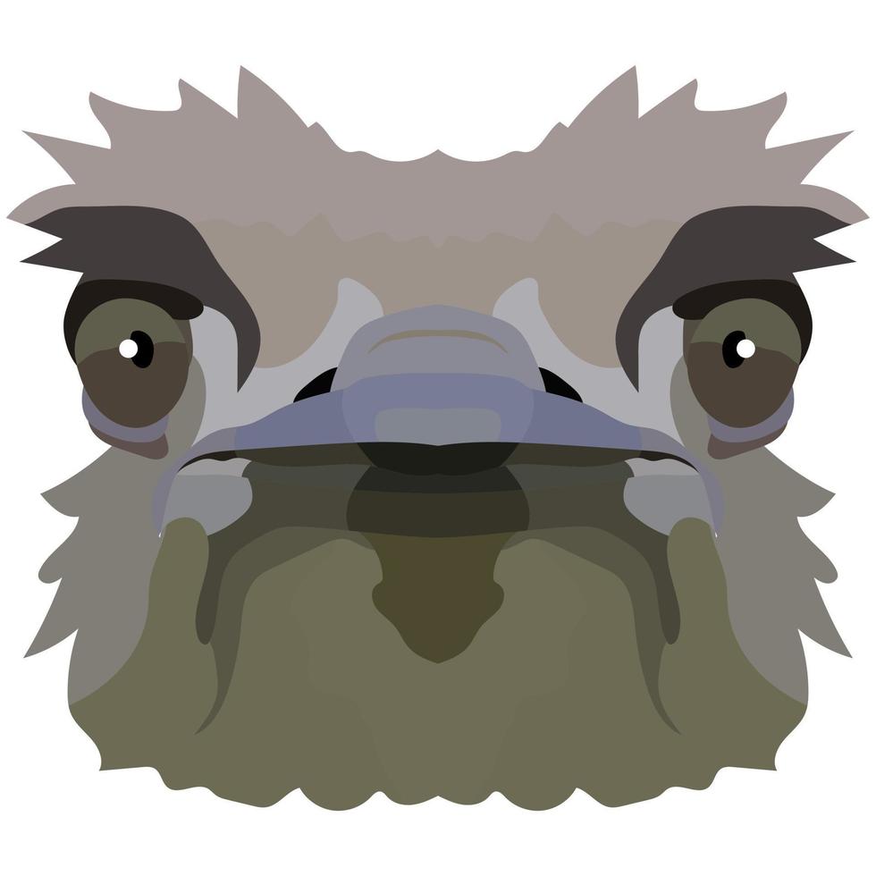 struisvogel hoofd. een illustratie van de uiteinde van een loop van een groot vogel is afgebeeld. een helder portret is afgebeeld Aan een wit achtergrond. vector grafiek. dier logo