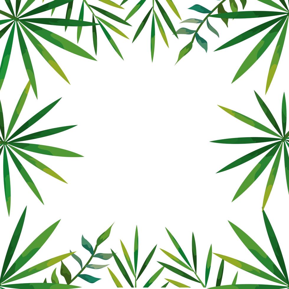 frame van tropische natuurlijke bladeren geïsoleerde pictogram vector