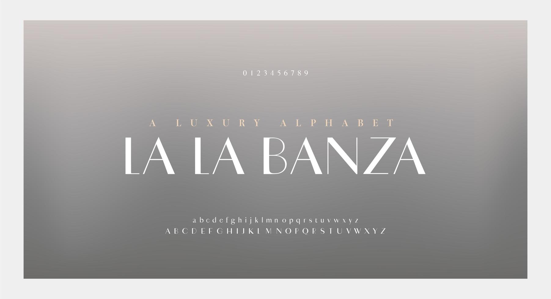 elegante alfabet letters lettertype en nummer vector