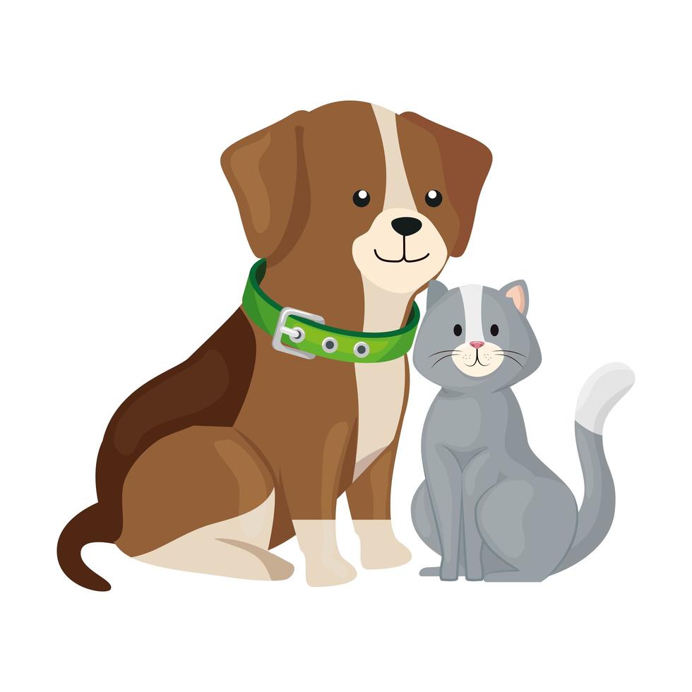 schattige kat en hond dieren geïsoleerde pictogram vector