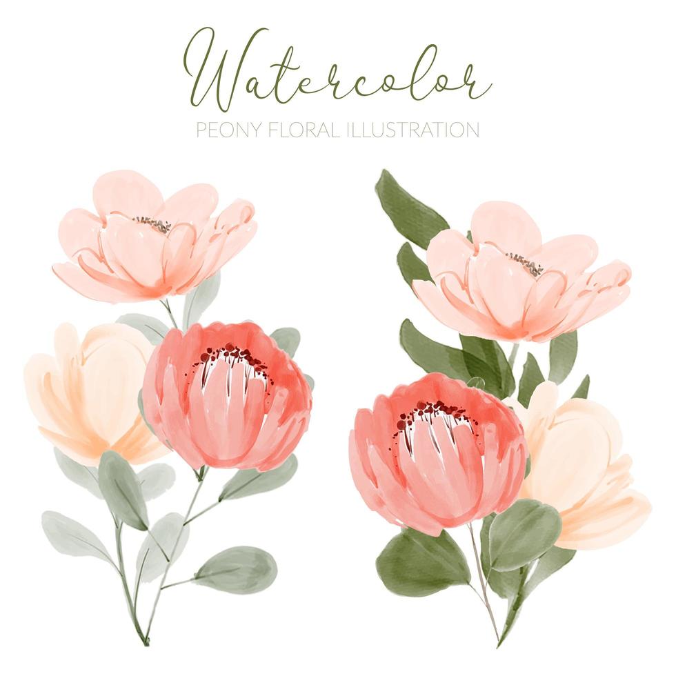 aquarel mooie pioen bloemen arrangement illustratie vector