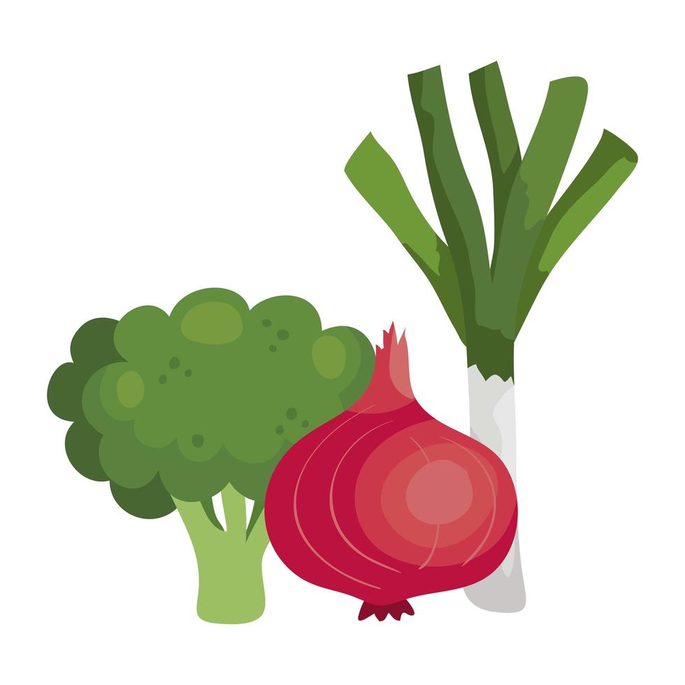 verse broccoli met geïsoleerde groenten pictogrammen vector