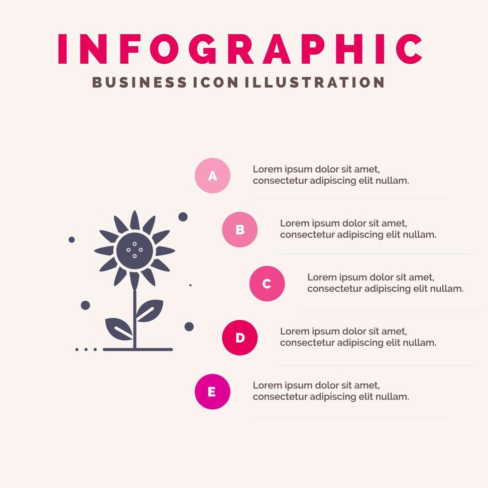 zonnebloem bloemen natuur voorjaar solide icoon infographics 5 stappen presentatie achtergrond vector