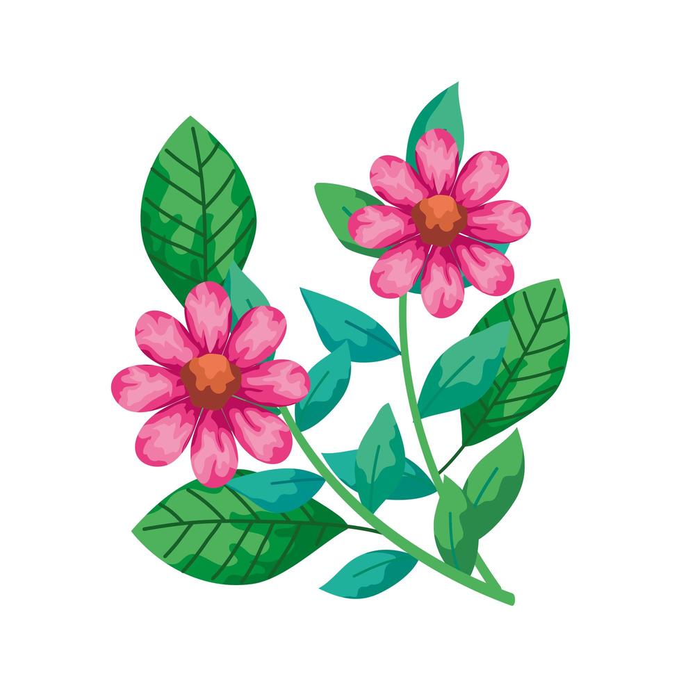 schattig bloemen roze met takken en bladeren geïsoleerd pictogram vector