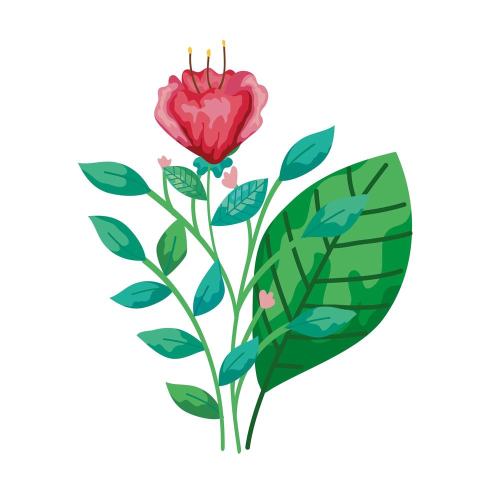 schattige bloem rood met takken en bladeren geïsoleerd pictogram vector