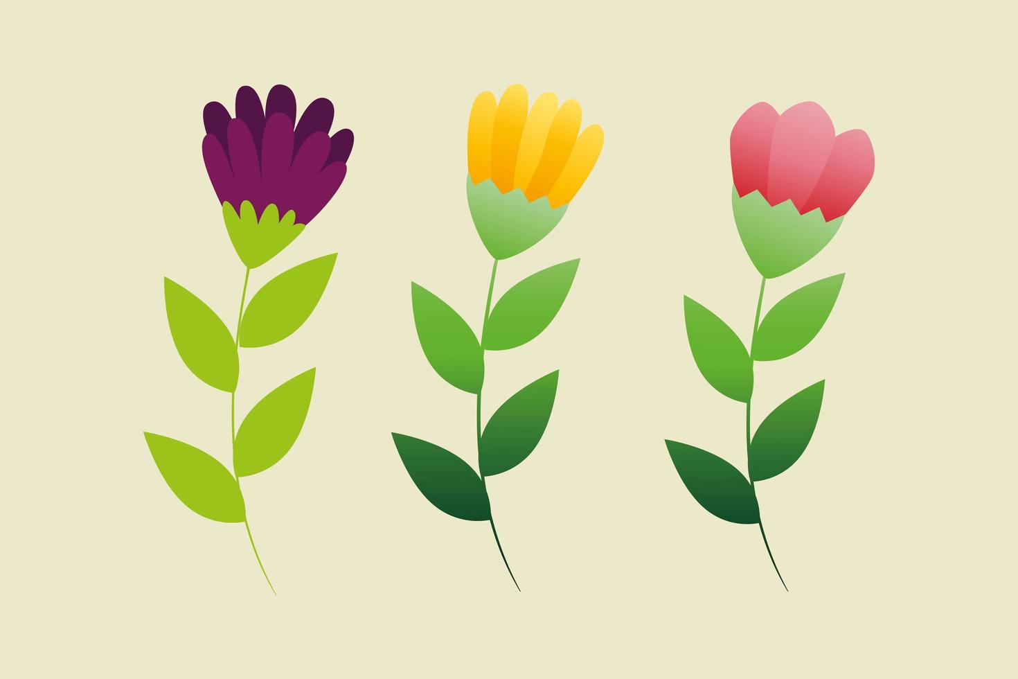 set van schattige bloemen met takken en bladeren vector