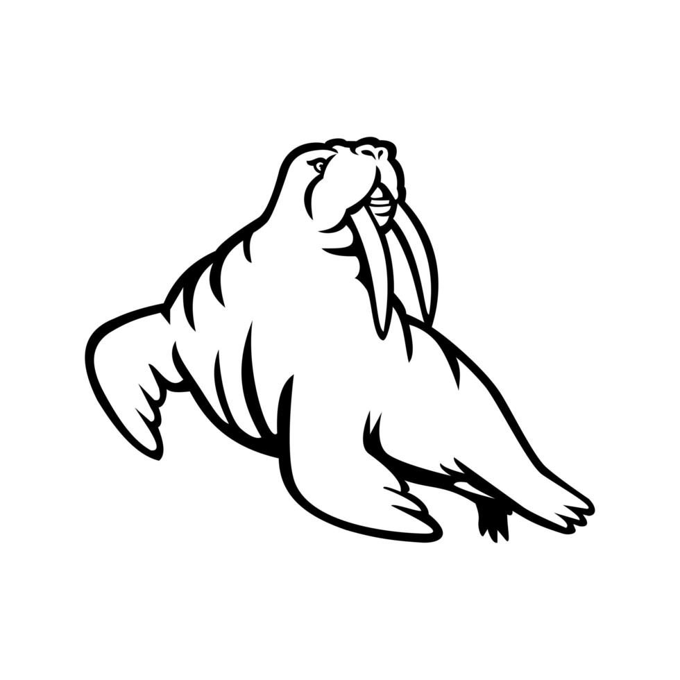 zwart-wit mascotte van de Atlantische of Pacifische walrus met lange slagtanden vector