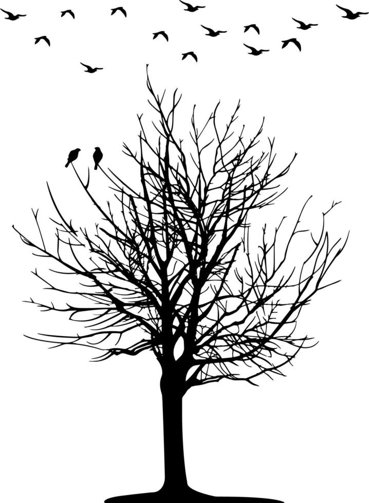 zwart en wit vector schetsen illustratie van boom en vogelstand