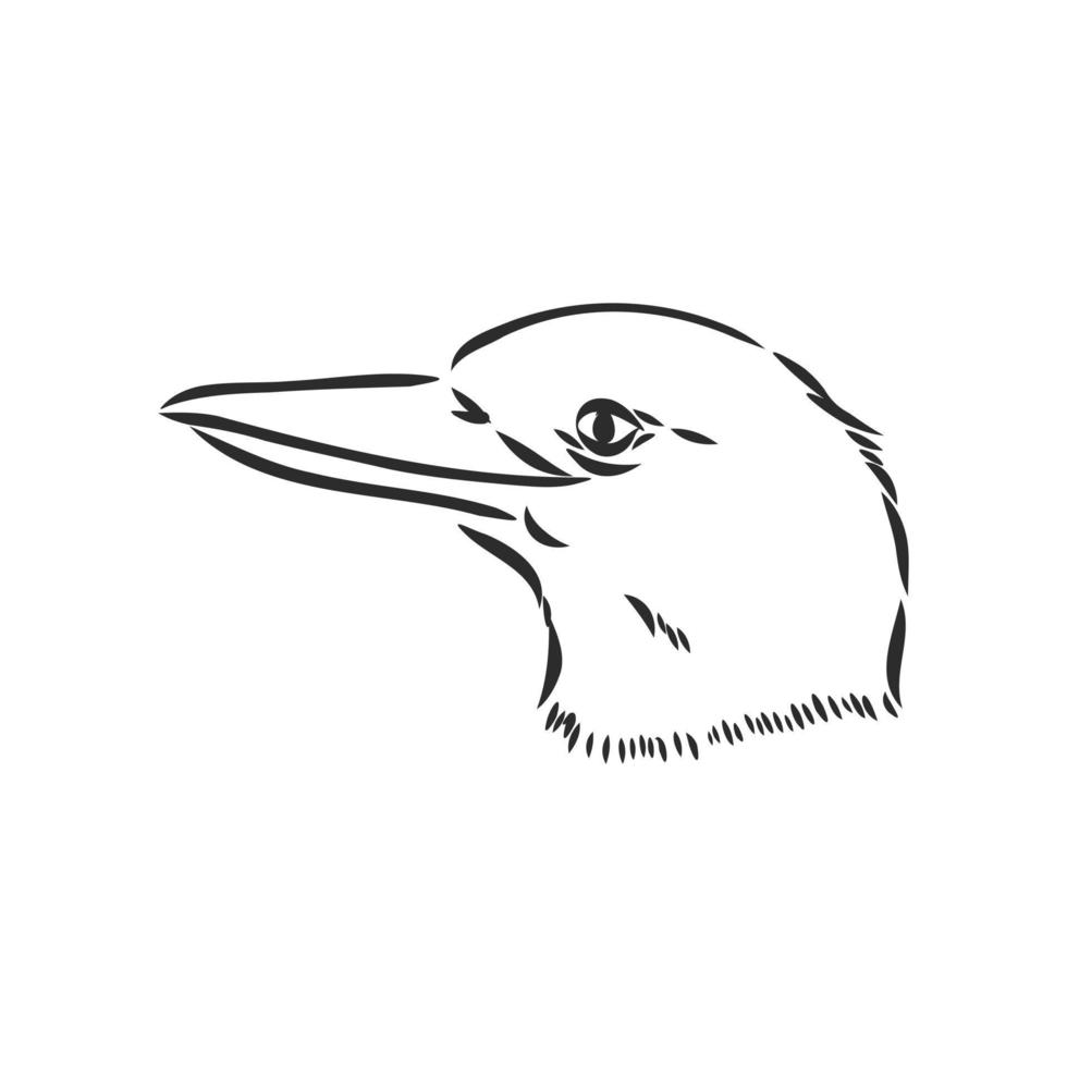 kookaburra vogel vector schetsen