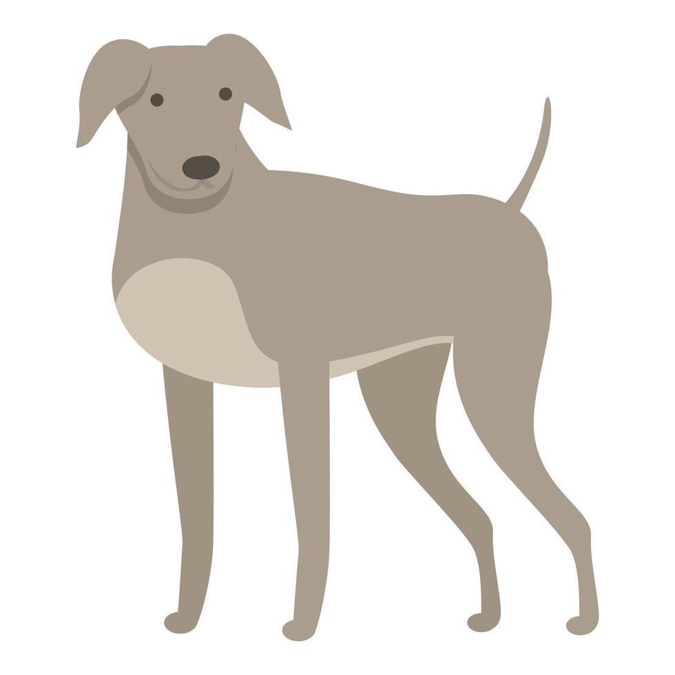 sterk windhond icoon tekenfilm vector. hond dier vector