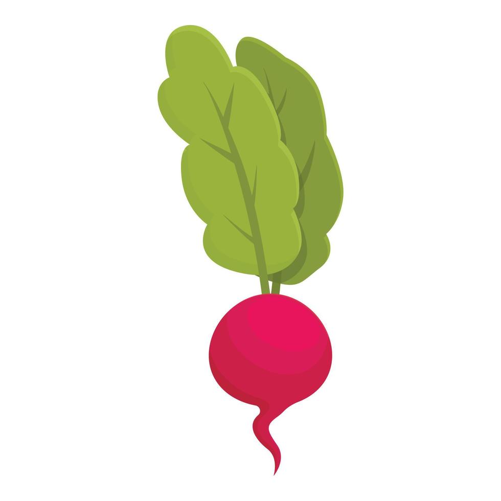 biologisch eetpatroon icoon tekenfilm vector. gezond salade vector
