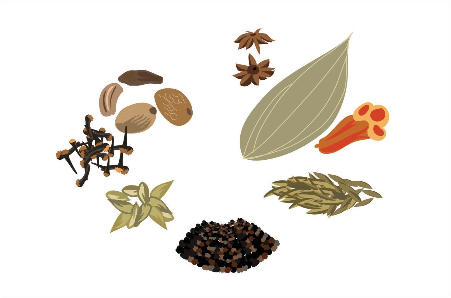 gram masala vector illustratie Aan wit achtergrond