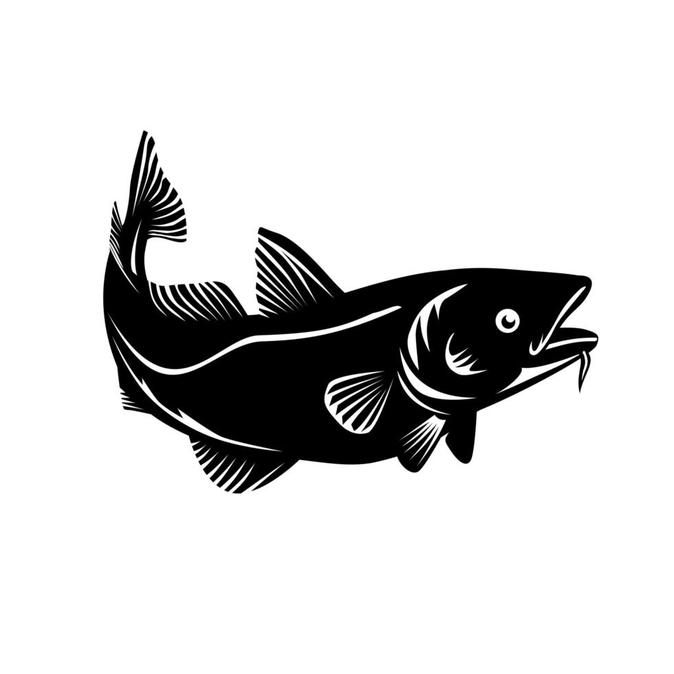 atlantische kabeljauw of kabeljauw zwemmen houtsnede zwart en wit vector