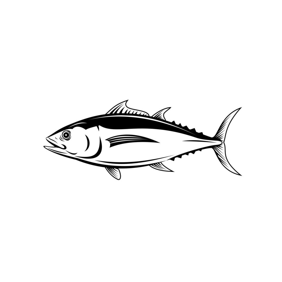 witte tonijn thunnus alalunga of longfin tonijn zijaanzicht retro zwart-wit vector