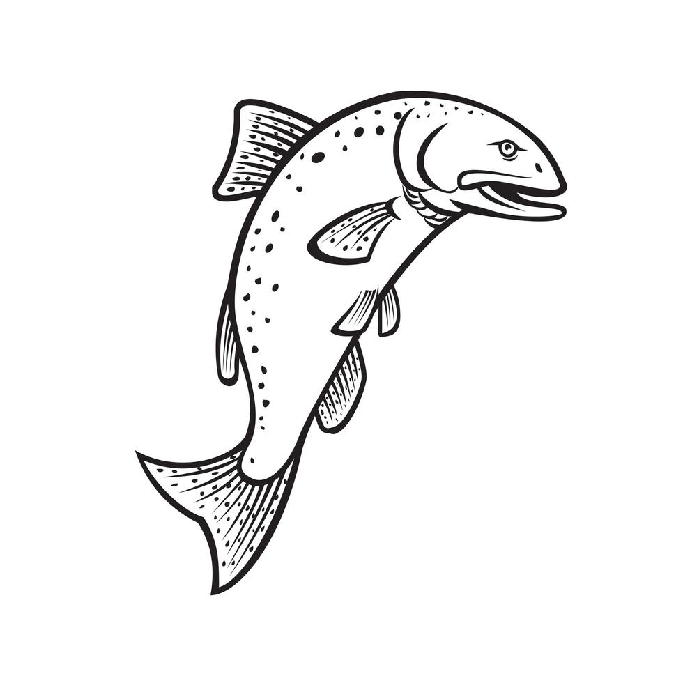 chinook zalm oncorhynchus tshawytscha koning zalm of quinnat zalm springen cartoon zwart-wit vector