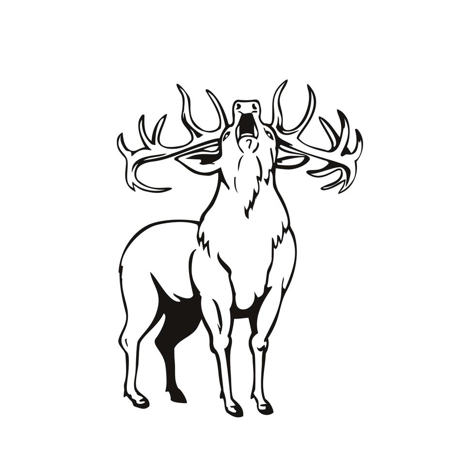 edelhert cervus elaphus brullende gezien vanaf voorzijde stencil zwart-wit retro vector