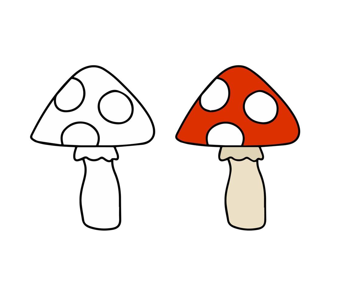 giftig paddestoel. vlieg agaric met rood kap. schets tekenfilm illustratie vector