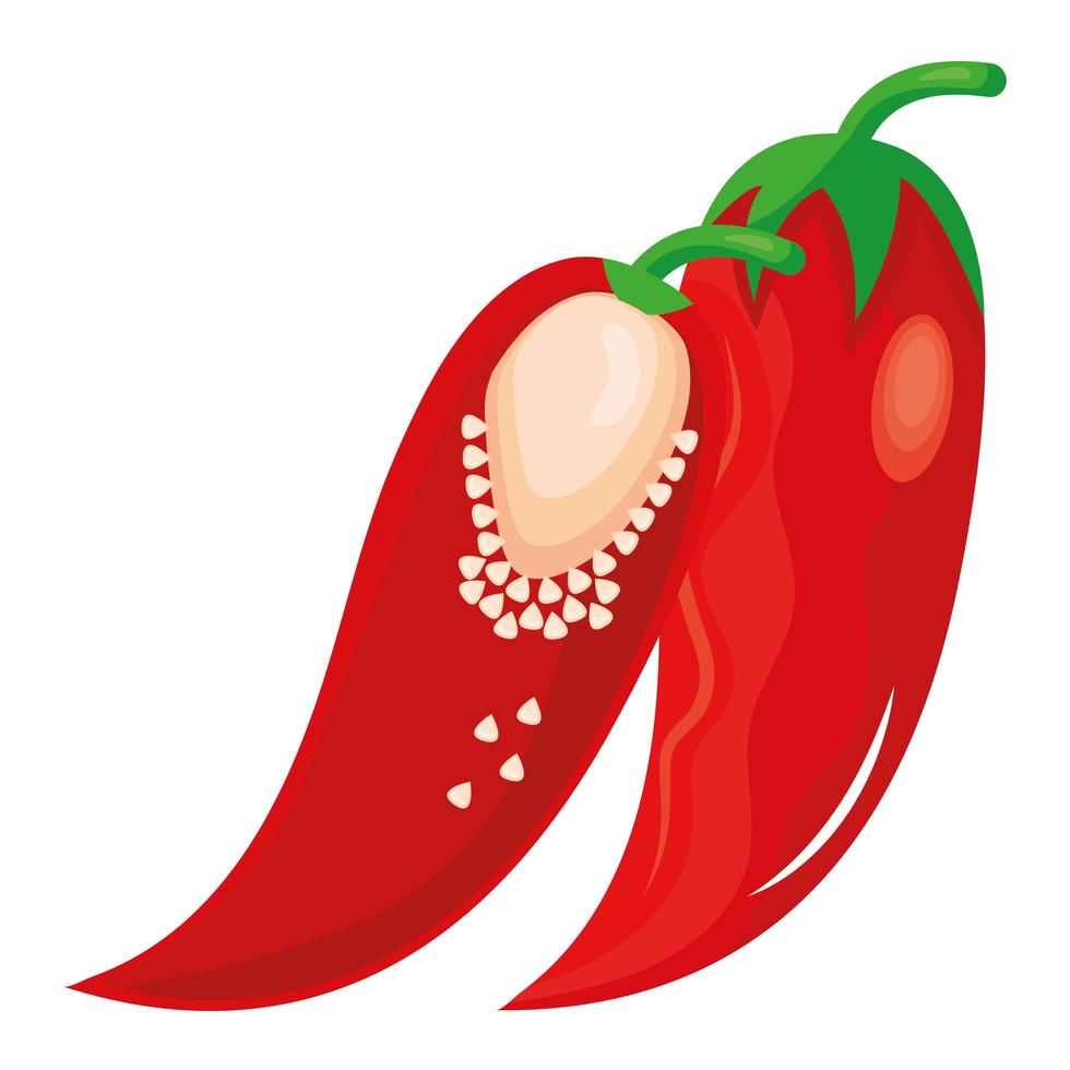 verse chili peper plantaardige gezonde voeding pictogram vector