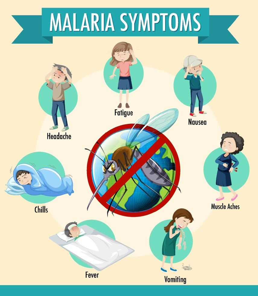 malaria symptoom informatie infographic vector