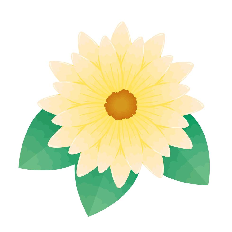 mooie gele bloem en bladeren decoratief pictogram vector