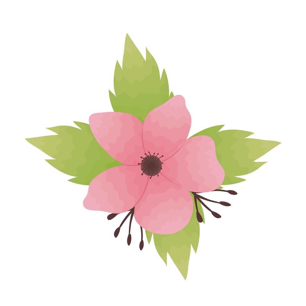 mooie bloem roze en bladeren decoratieve pictogram vector