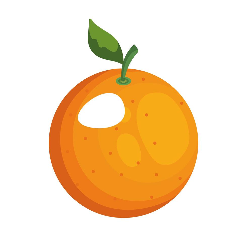 oranje fruit pictogram vector ontwerp