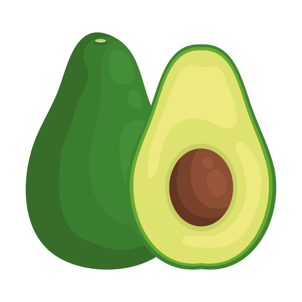 avocado verse groente gezond pictogram vector