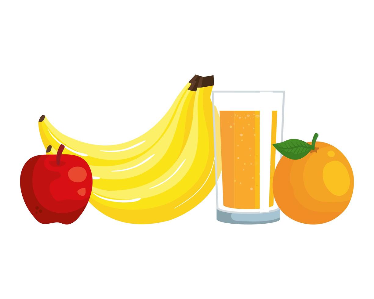 sinaasappelsap met glas en fruit vector