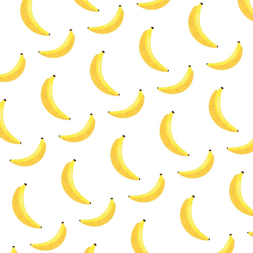 bananen vers fruit patroon achtergrond vector