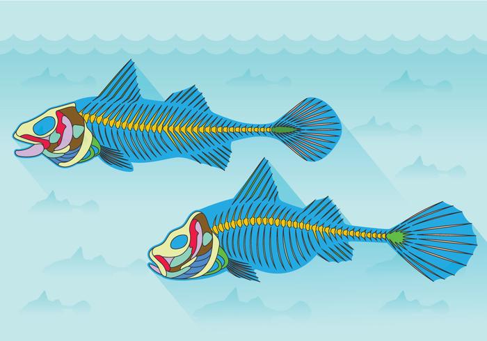 fishbone anatomie vector