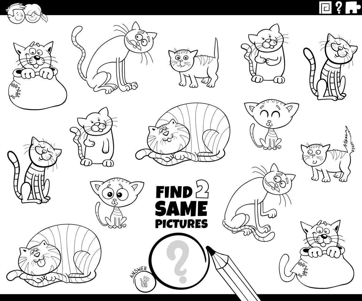 vind twee dezelfde kleurboekpagina met katten of kittens vector