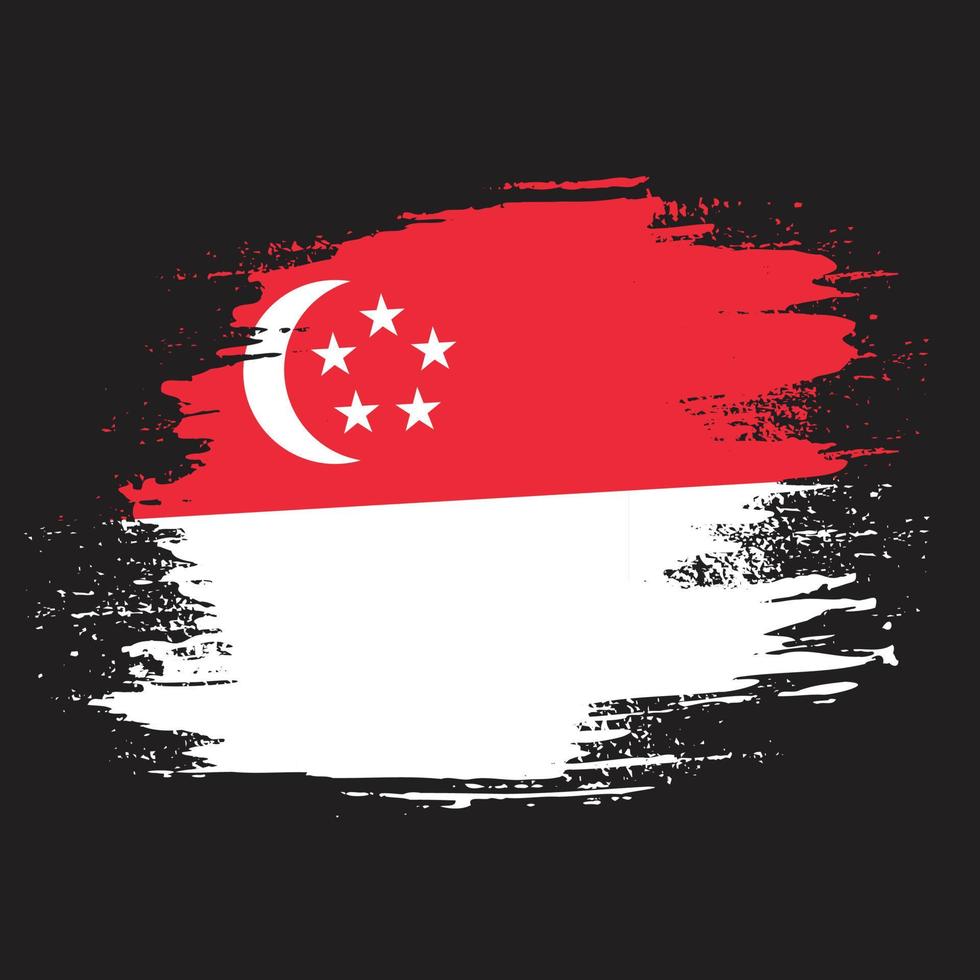 vrij borstel beroerte Singapore vlag vector beeld