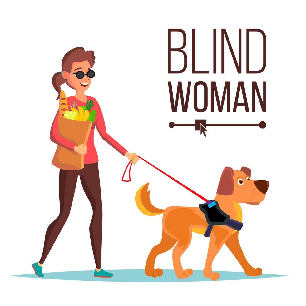 Blind vrouw vector. persoon met huisdier hond metgezel. Blind vrouw in donker bril en gids hond wandelen. geïsoleerd tekenfilm karakter illustratie vector