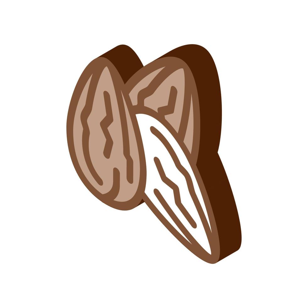 cacao bonen isometrische icoon vector illustratie