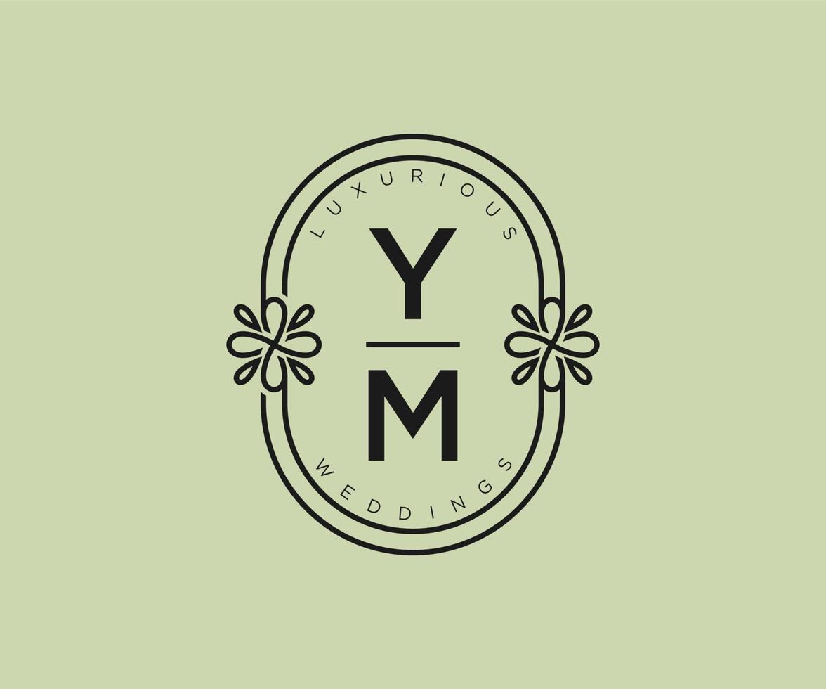 ym initialen brief bruiloft monogram logos sjabloon, hand- getrokken modern minimalistisch en bloemen Sjablonen voor uitnodiging kaarten, opslaan de datum, elegant identiteit. vector