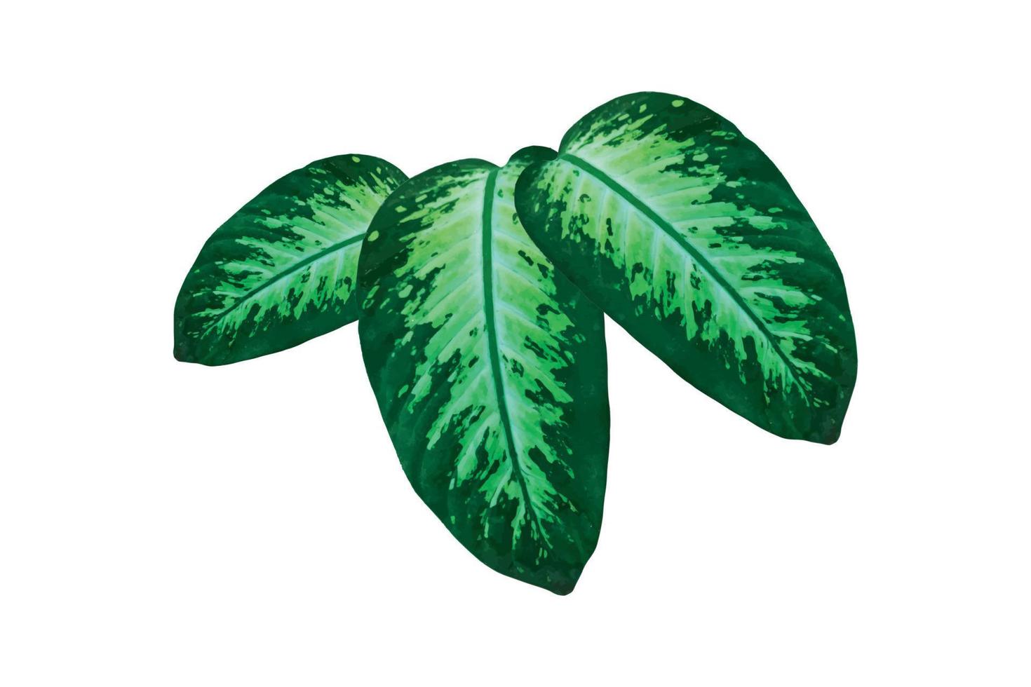 vector abstract groen blad Aan wit achtergrond