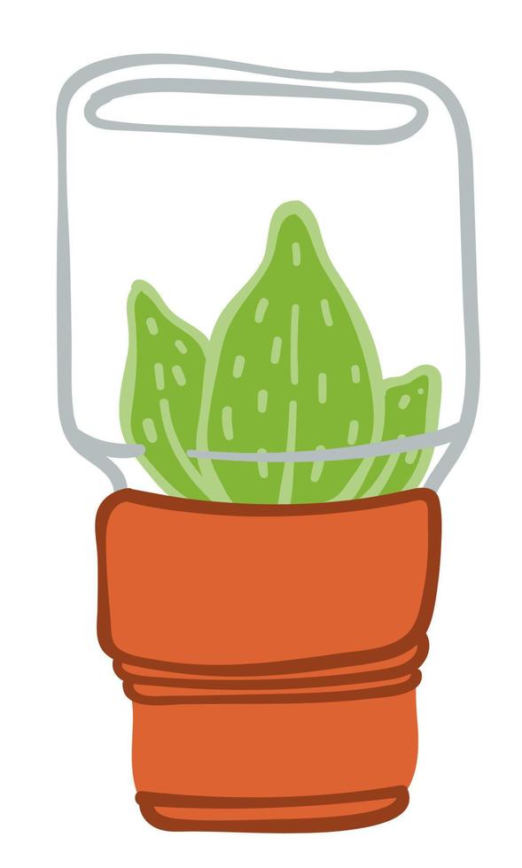 kamerplant met glas container, mini oranjerie vector