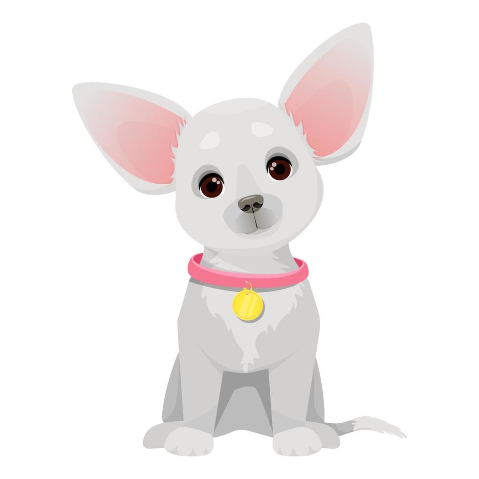 klein schattig chihuahua hond met roze halsband vector