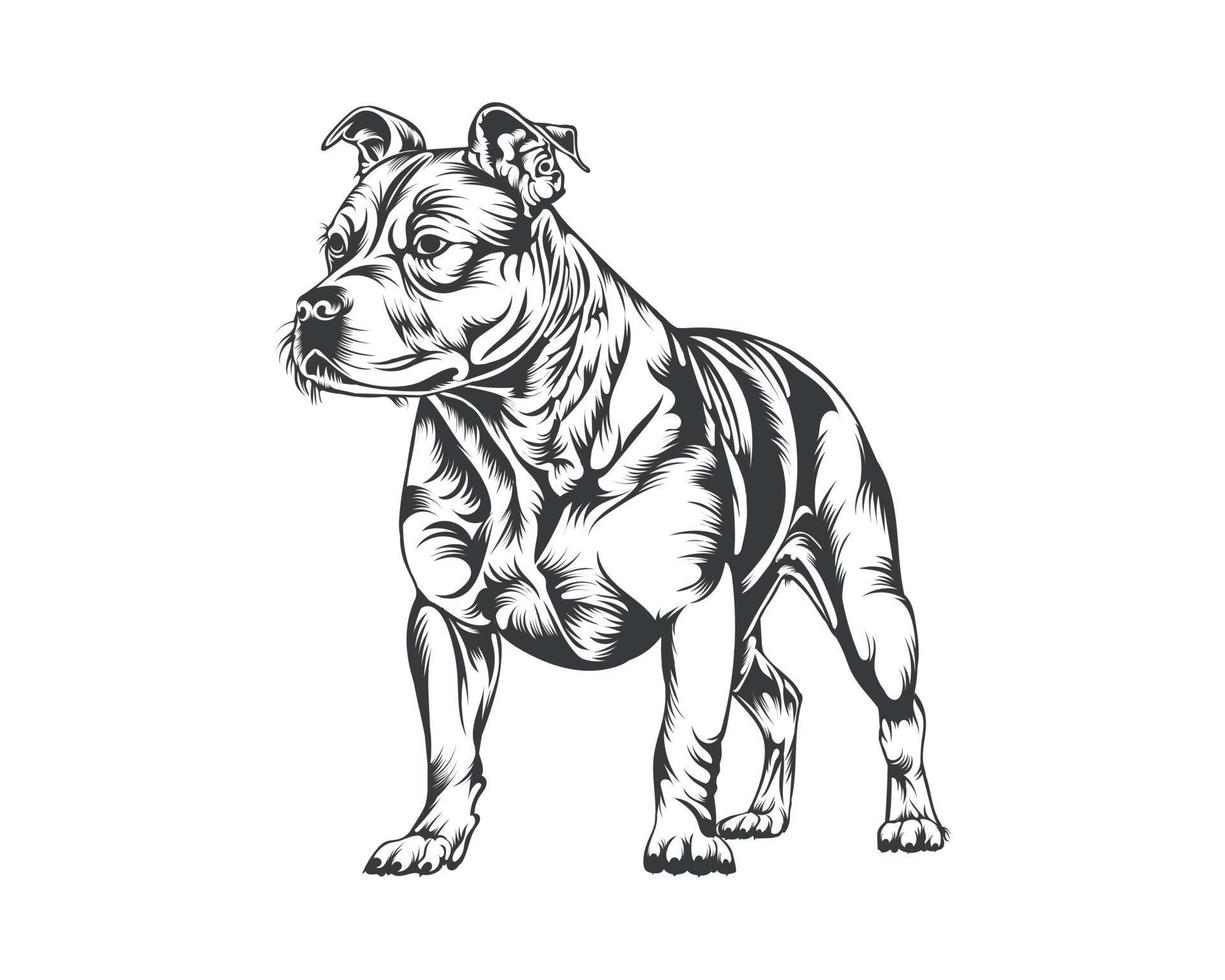 pitbull hond ras vector illustratie, pitbull hond vector Aan wit achtergrond voor t-shirt, logo en anderen