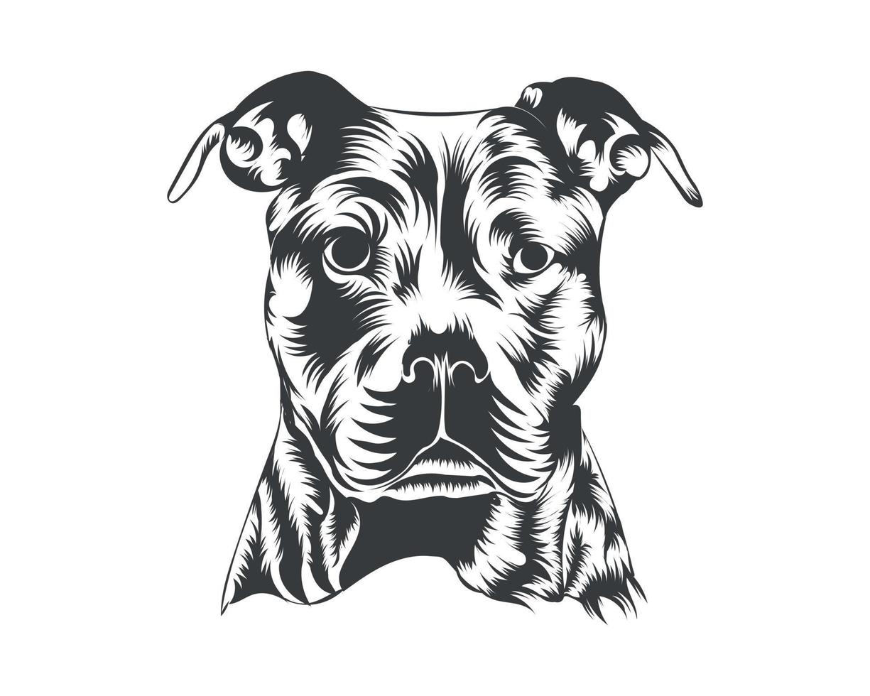 pitbull hond ras vector illustratie, pitbull hond vector Aan wit achtergrond voor t-shirt, logo en anderen