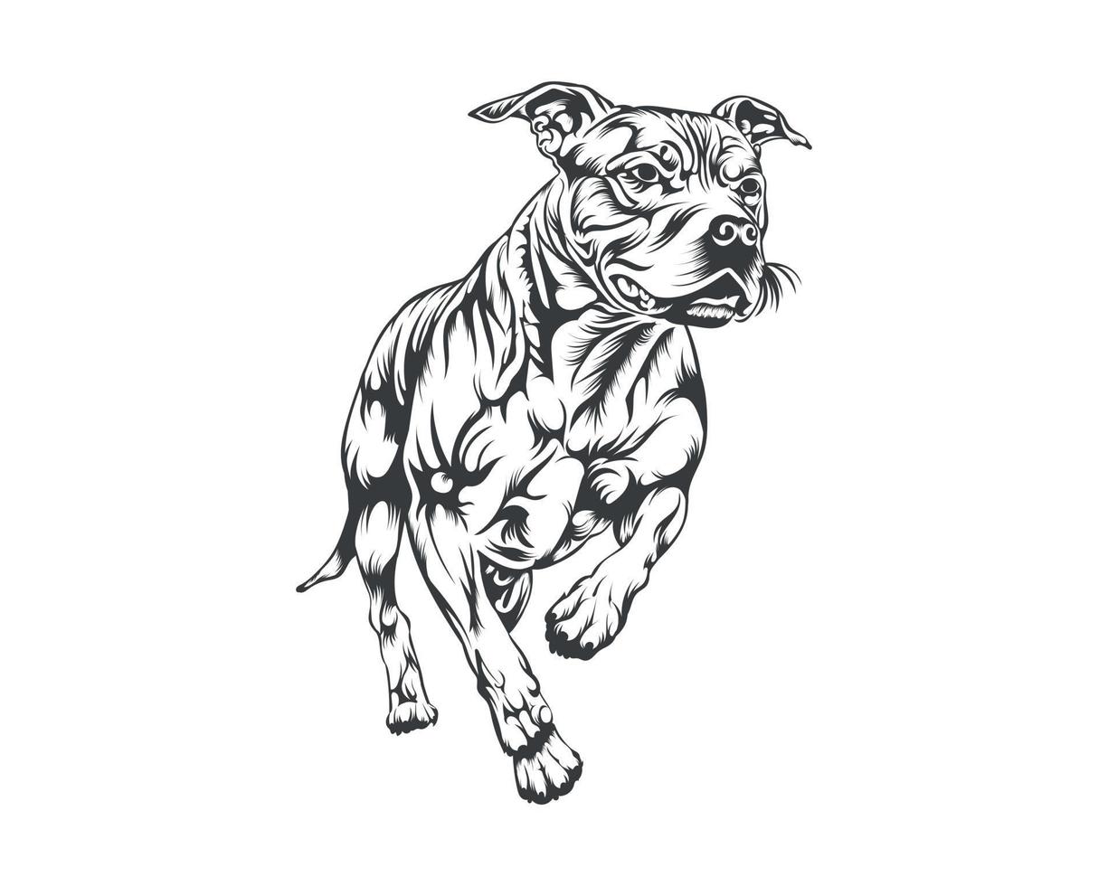 pitbull hond ras vector illustratie, pitbull hond vector Aan wit achtergrond voor t-shirt, logo en anderen