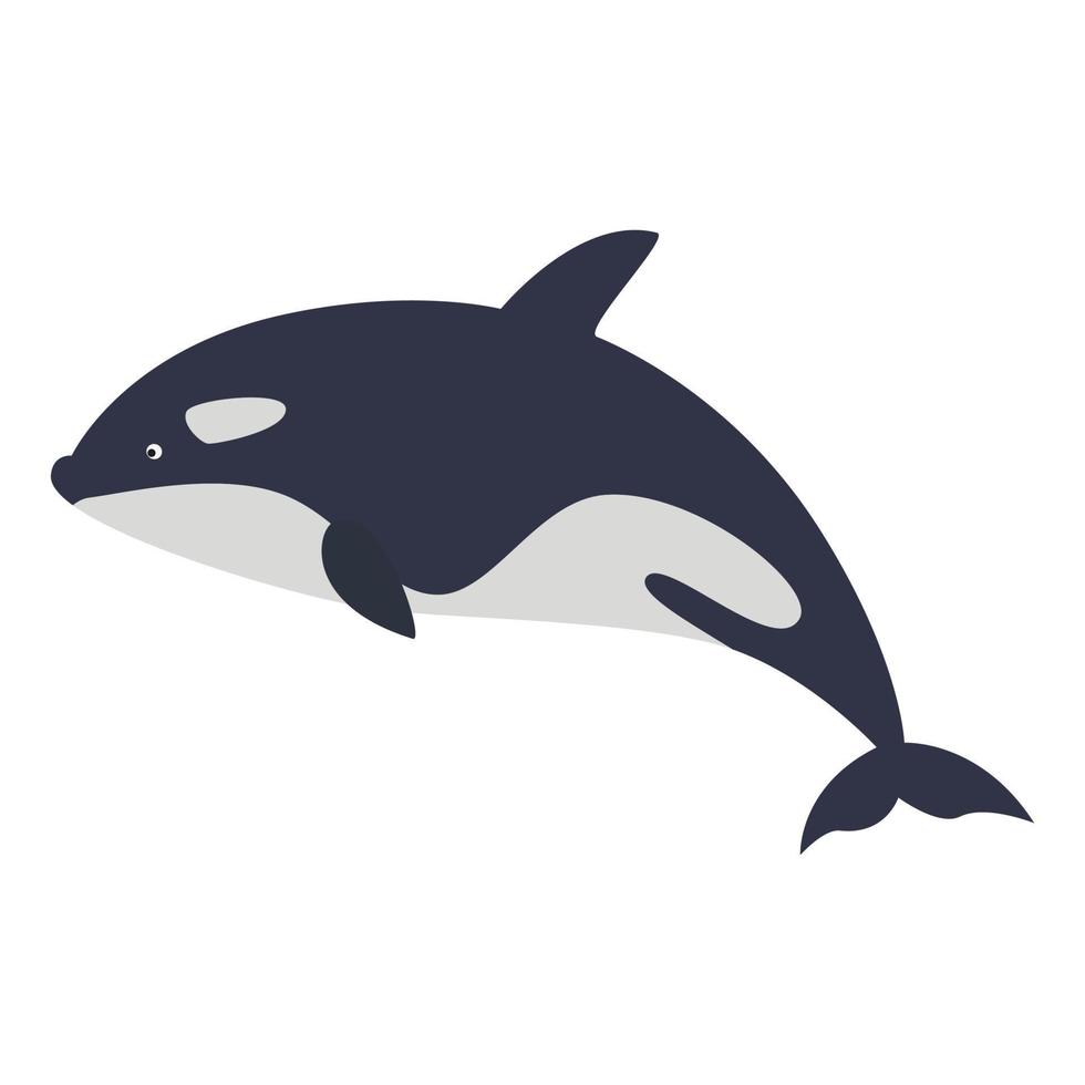 orka moordenaar walvis vector illustratie