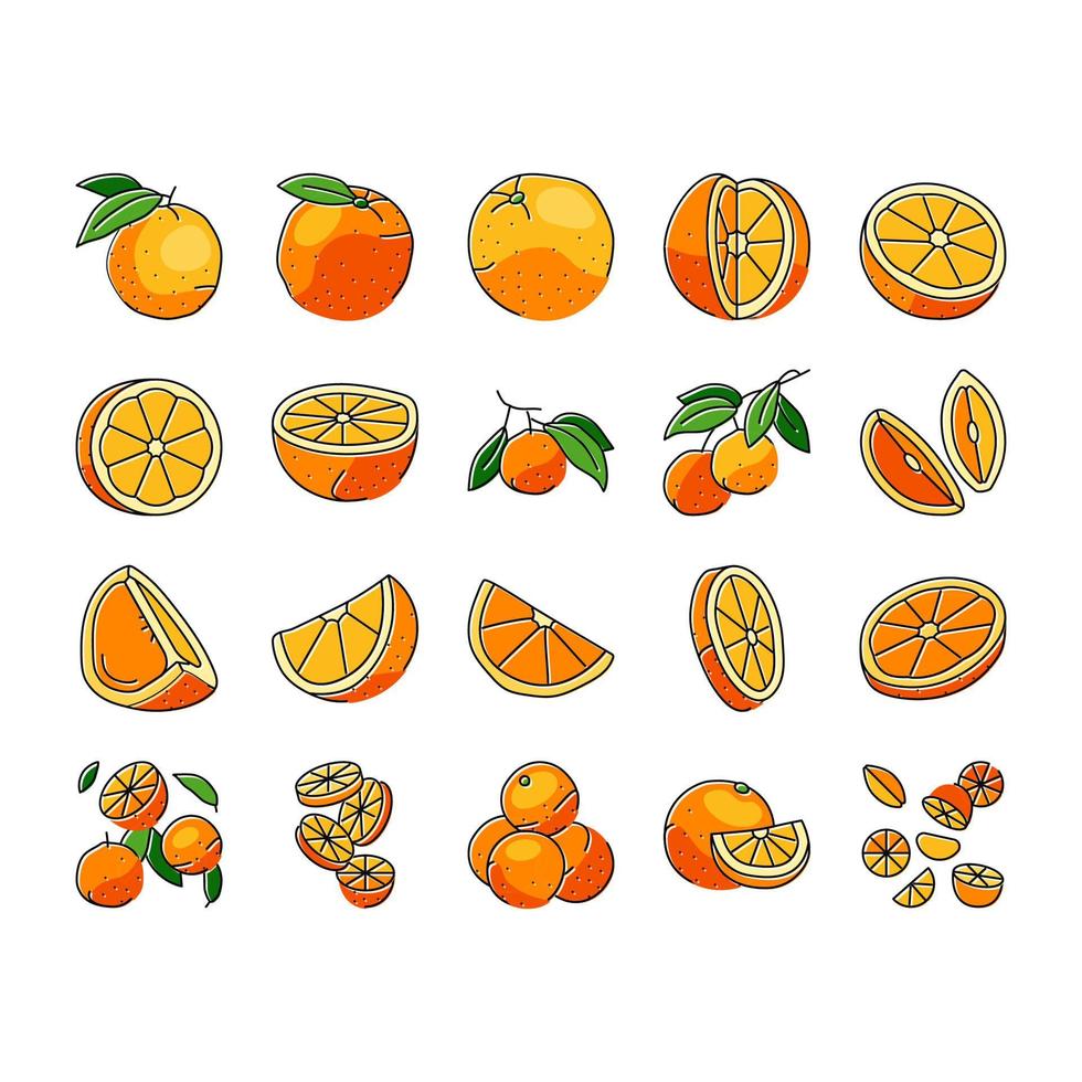 oranje citrus vers plak sap pictogrammen reeks vector