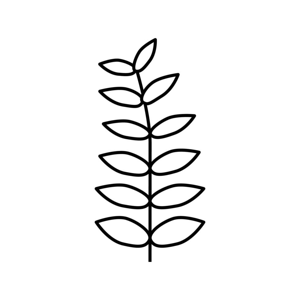 okkernoot blad lijn icoon vector illustratie