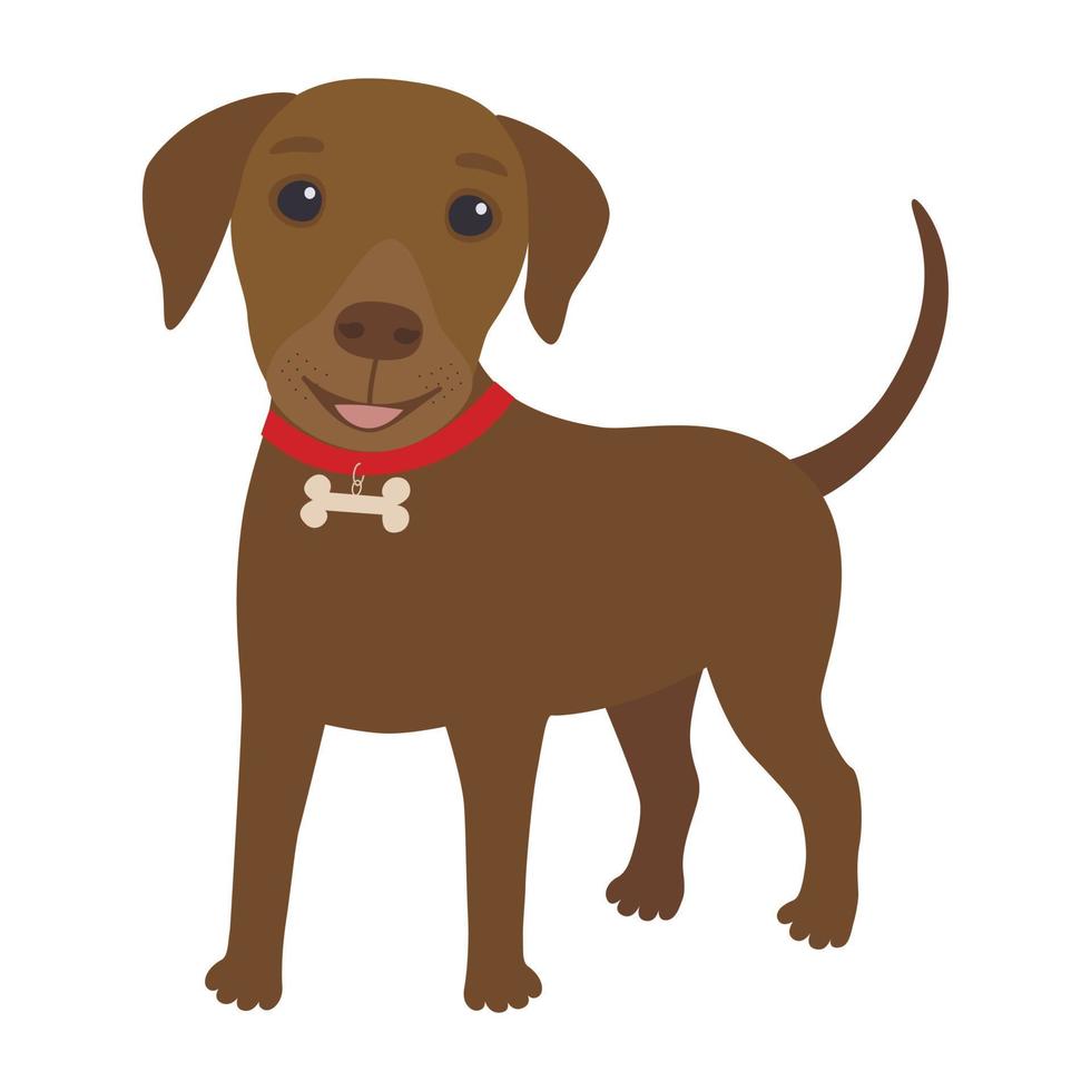 labrador hond illustratie vector