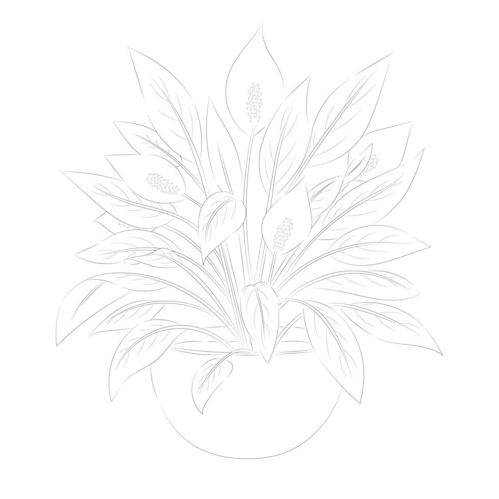 spathiphyllum bloem. bloemen vector illustratie. geïsoleerd Aan wit. monochroom. kinderen kleur boek.