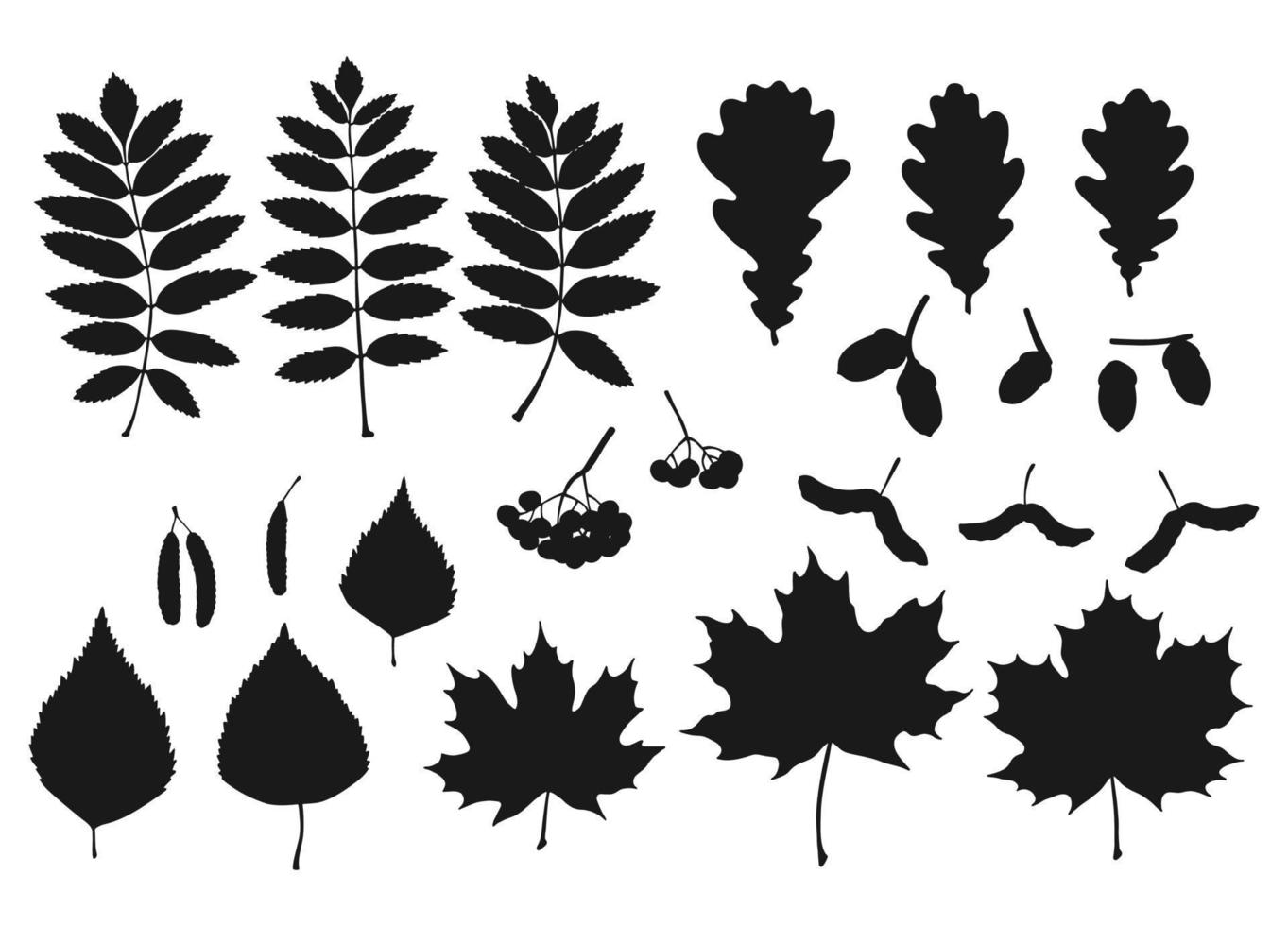 reeks met silhouet bladeren, bessen en eikels. hand- getrokken herfst vector illustratie.