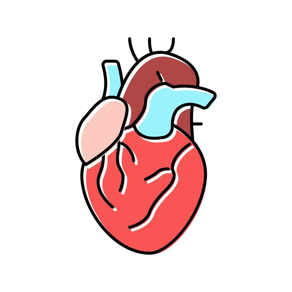 hart menselijk orgel kleur pictogram vectorillustratie vector