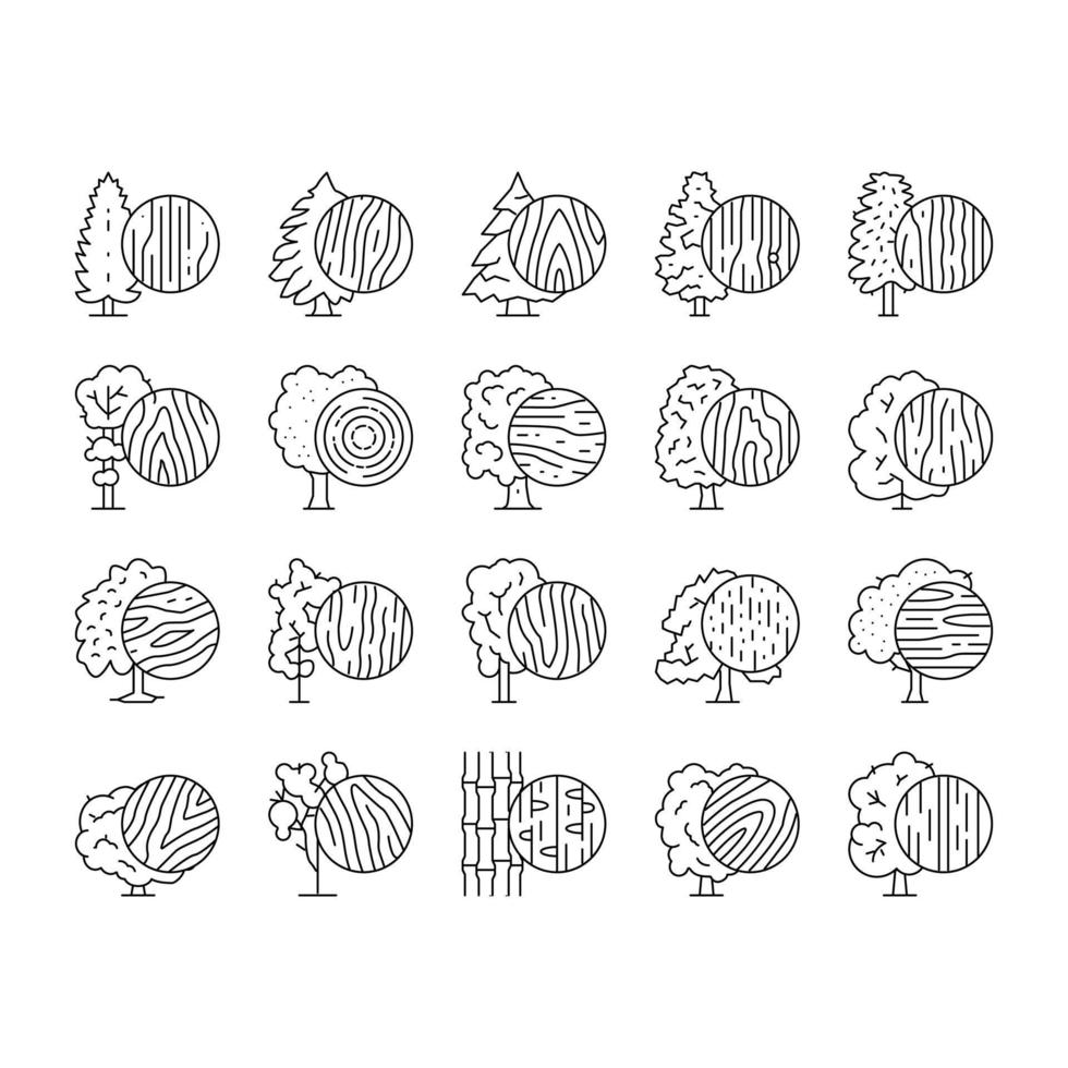 bos land groei natuurlijke boom pictogrammen instellen vector