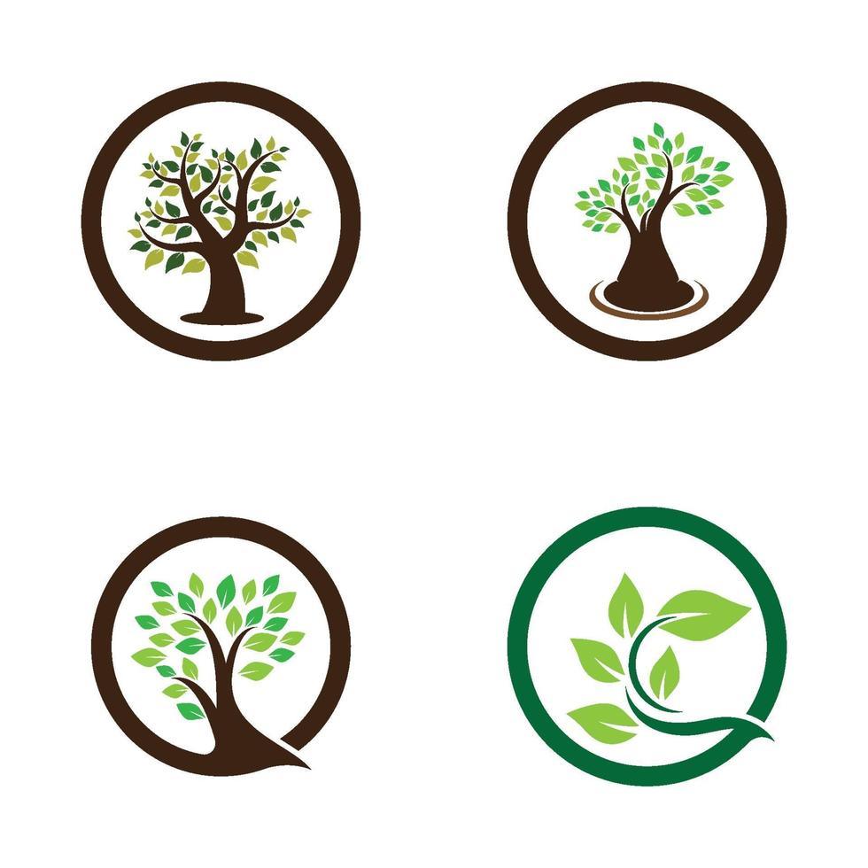 boom logo afbeeldingen ontwerpset vector